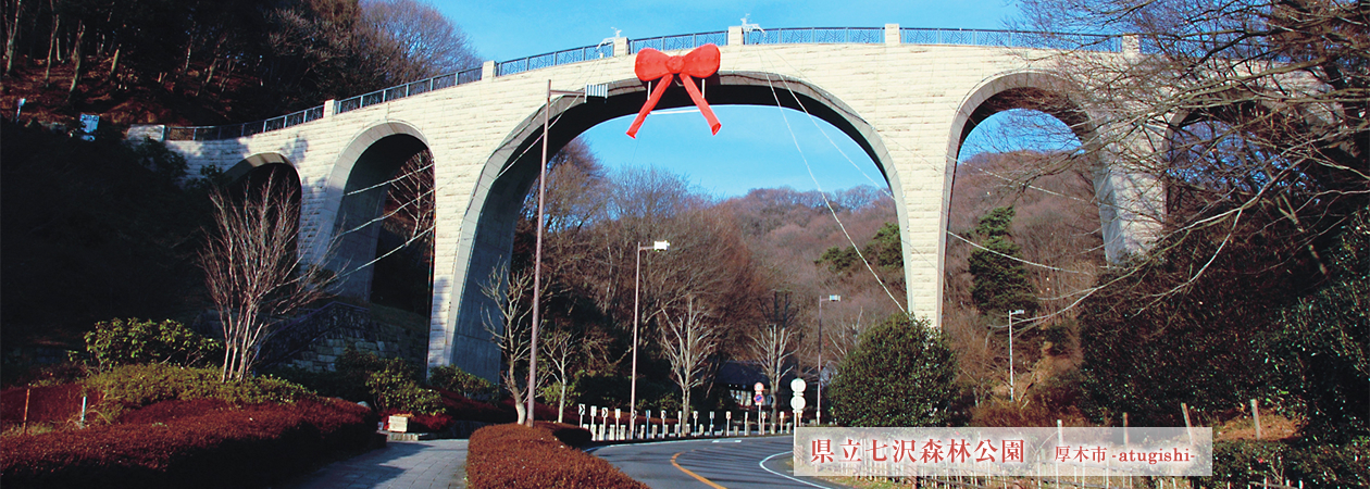県立七沢森林公園 厚木市